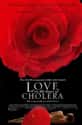 Love in the Time of Cholera on Random Best LGBTQ+ Drama Films