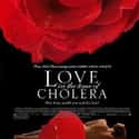 Love in the Time of Cholera on Random Best LGBTQ+ Drama Films