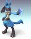 Lucario on Random Notable Secret Video Game Characters