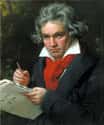 Ludwig van Beethoven on Random Famous People Who Never Married