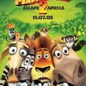 2008   Madagascar: Escape 2 Africa is a 2008 American computer-animated comedy film written by Etan Cohen, and directed by Eric Darnell and Tom McGrath.