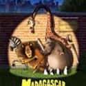 Madagascar on Random Best Cartoon Movies of 2000s