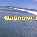 Magnum, P.I. on Random Best Crime Fighting Duo TV Series