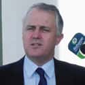 Member of Parliament   Malcolm Bligh Turnbull is an Australian politician who has been the Member of Parliament for Wentworth in Sydney's Eastern Suburbs since 2004.