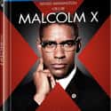 Denzel Washington, Al Sharpton, Nelson Mandela   Malcolm X is a 1992 American biographical drama film about the African-American activist Malcolm X. Directed and co-written by Spike Lee.