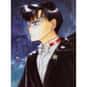 Tuxedo Mask is listed (or ranked) 22 on the list The 30+ Greatest Masked Anime Characters of All Time