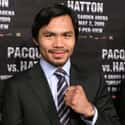 Super bantamweight, Flyweight, Welterweight   Emmanuel "Manny" Dapidran Pacquiao, PLH is a Filipino world champion professional boxer. At 32 he was elected to the Philippine House of Representatives.