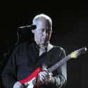 Mark Freuder Knopfler, OBE is a British songwriter, film score composer, guitarist, and record producer.