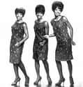 Martha and the Vandellas on Random Top Pop Artists of 1960s