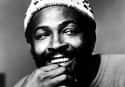 Marvin Gaye on Random Rock Stars Whose Deaths Were Most Untimely