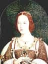 Mary Tudor, Queen of France on Random Most Lavish Dowries In History