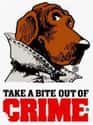 McGruff the Crime Dog on Random Most Memorable Advertising Mascots