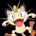Meowth on Random Best Cat-Like Pokemon