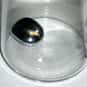 Mercury poisoning is listed (or ranked) 7 on the list The Top 10 Ways I Would Kill My Boyfriend. . .