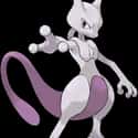 Mewtwo on Random Best Cat-Like Pokemon