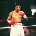 Light flyweight   Michael Carbajal is an American five-time world boxing champion of Mexican descent.