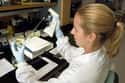 Microbiologist on Random Most Popular Careers for Biology Majors