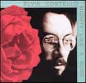 Mighty Like a Rose on Random Best Elvis Costello Albums