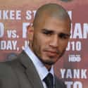 Welterweight, Light middleweight, Light welterweight   Miguel Ángel Cotto Vázquez is a Puerto Rican professional boxer.