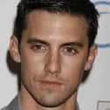 age 38   Milo Anthony Ventimiglia is an American actor best known for his role as Peter Petrelli on the NBC television series Heroes.