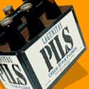 Lagunitas Pils on Random Best American Beers
