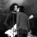 The Dead Weather on Random Best Music Side Projects