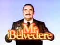Mr. Belvedere on Random Best Sitcoms of the 1980s