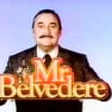Mr. Belvedere on Random1980s Sitcoms That Will Still Make You Laugh
