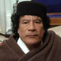 Dec. at 69 (1942-2011)   Muammar Muhammad Abu Minyar al-Gaddafi, commonly known as Colonel Gaddafi, was a Libyan revolutionary and politician who governed Libya as its primary leader from 1969 to 2011.
