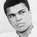 Muhammad Ali on Random Best Heavyweight Boxers