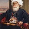 Dec. at 80 (1769-1849)   Muhammad Ali Pasha al-Mas'ud ibn Agha was an Ottoman Albanian commander in the Ottoman army, who became Wāli, and self-declared Khedive of Egypt and Sudan with the Ottomans' temporary approval....