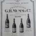 G.H. Mumm et Cie on Random Best Wineries in France