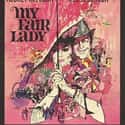 1964   My Fair Lady is a 1964 American musical film adaptation of the Lerner and Loewe stage musical of the same name based on the 1938 film adaptation of the original 1913 stage play Pygmalion by...