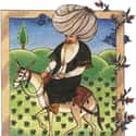 Nasreddin was a Seljuq satirical Sufi, believed to have lived and died during the 13th century in Akşehir, near Konya, a capital of the Seljuk Sultanate of Rum, in today's Turkey.