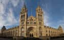 Natural History Museum on Random Top Must-See Attractions in London
