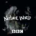 Natural World on Random Best Current Animal Planet Shows