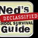 Ned's Declassified School Survival Guide on Random Best Teen Sitcoms