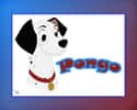 Pongo on Random Greatest Fictional Pets You Wish You Could Actually Own