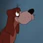 Bruno is listed (or ranked) 25 on the list The Greatest Dog Characters of All Time