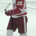 Defenseman   Hans Niklas Kronwall is a Swedish professional ice hockey defenceman and alternate captain for the Detroit Red Wings of the National Hockey League.