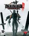 Ninja Gaiden II on Random Best Hack and Slash Games