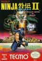 Ninja Gaiden II: The Dark Sword of Chaos on Random Single NES Game