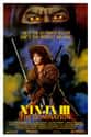 Ninja III: The Domination on Random Best Kung Fu Movies of 1980s
