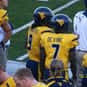 Noel Devine is listed (or ranked) 14 on the list The Best West Virginia Football Players of All Time