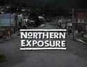 Northern Exposure on Random Best '90s TV Dramas