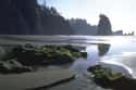 Olympic National Park on Random Best U.S. Parks for Camping