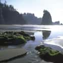 Olympic National Park on Random Best U.S. Parks for Camping