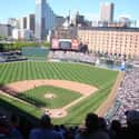 Oriole Park at Camden Yards on Random Best MLB Ballparks