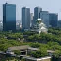 Osaka on Random Global Cities