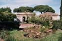 Palatine Hill on Random Top Must-See Attractions in Italy